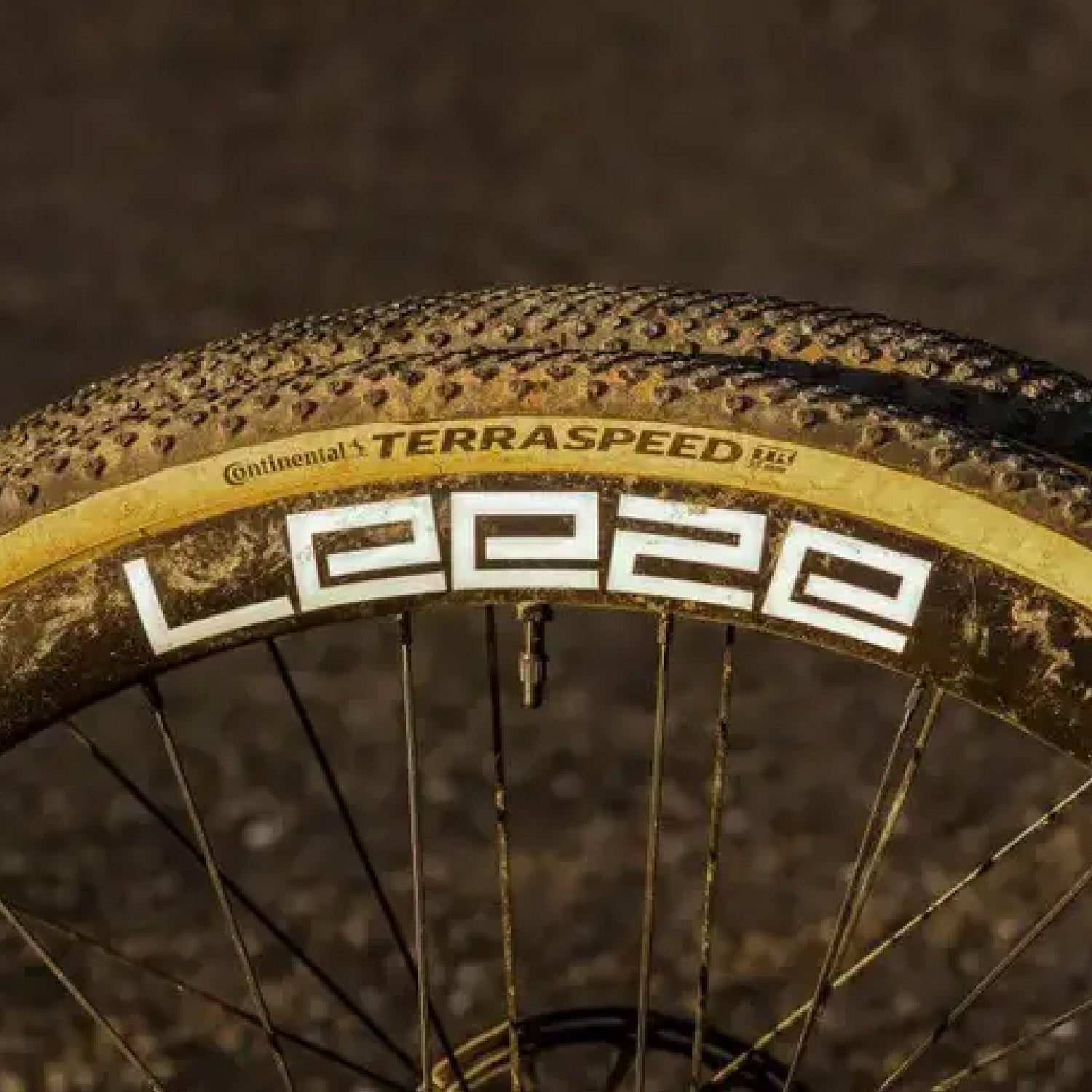 CC 38 Disc BASIC | LifeCYCLE magazine 12/2021