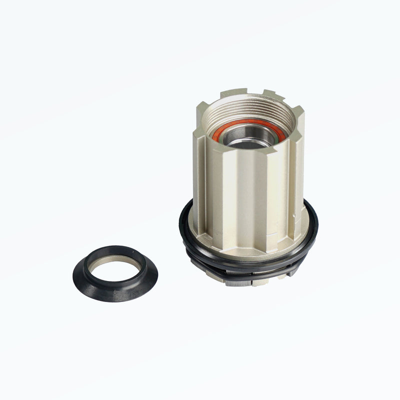 Umbau für BASIC Campagnolo / N3W Freiläufe