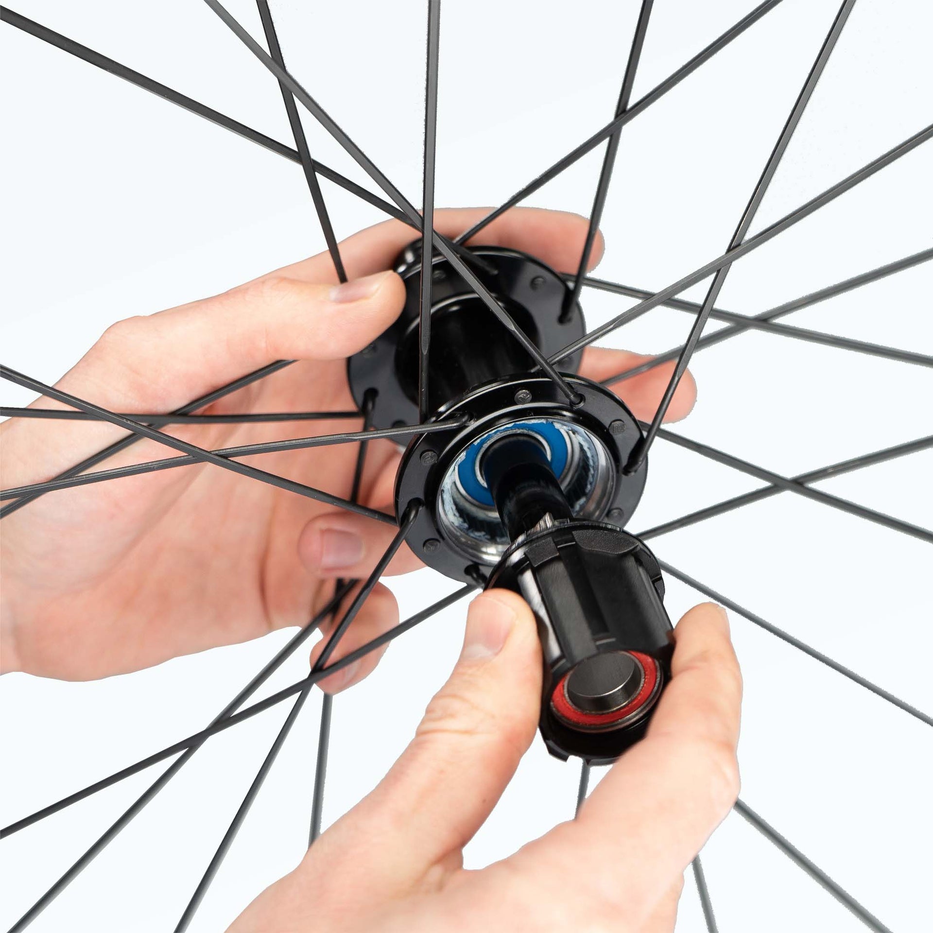 freilauf rennrad wechseln Umbau für Leeze BASIC Naben auf Campagnolo / N3W