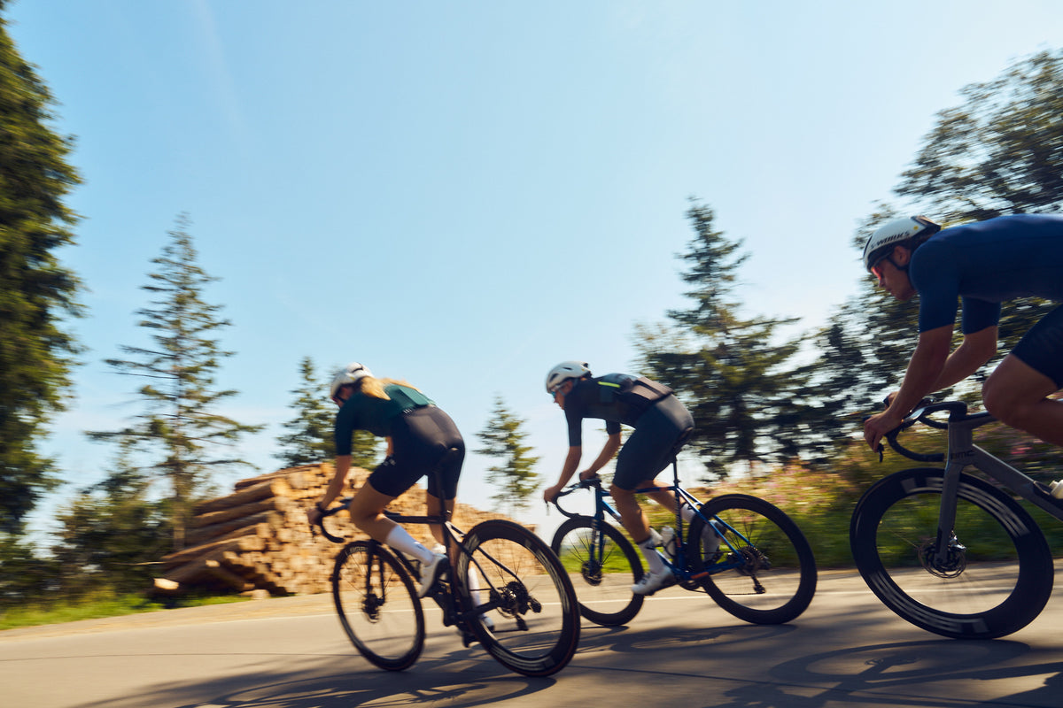What Is Motorex at Benjamin Payne blog